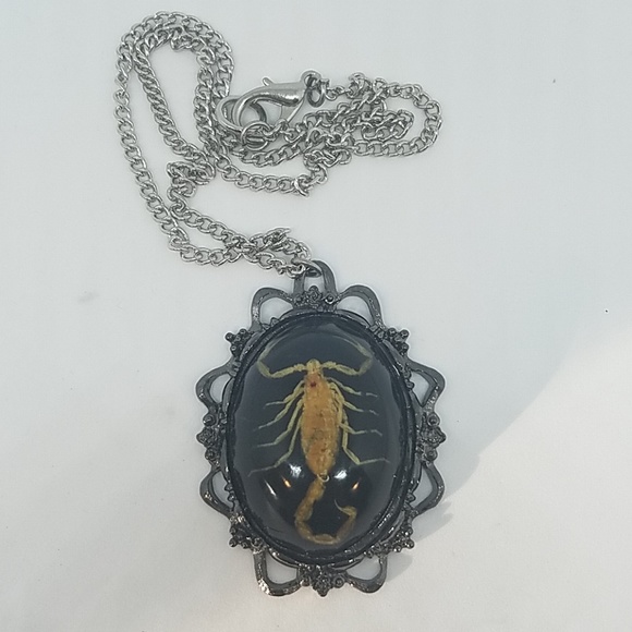 GASOLINE GLAMOUR Jewelry - Black scorpion necklace new π¦π¦π¦π¦ GASOLINE GLAMOUR Jewelry - Black scorpion necklace new π¦π¦π¦π¦